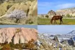 Весна, лето, осень и зима в Каппадокии